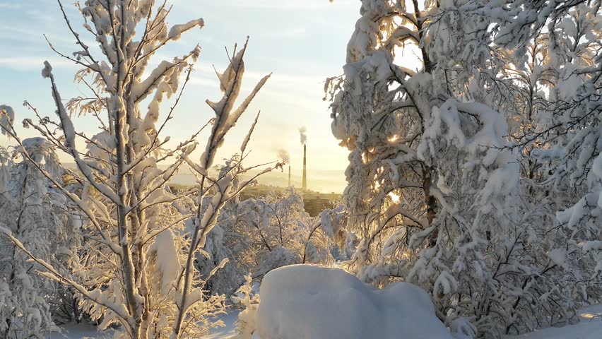 An urban winter landscape with snow- and frost-covered trees and bushes on a sunny, frosty day. Smoking chimneys are visible in the distance.