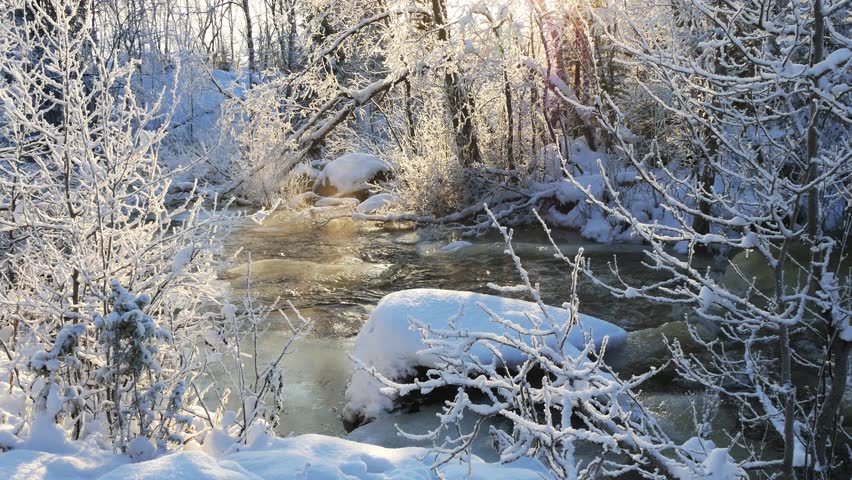 A snow-covered forest and a small river that has not yet frozen on a frosty winter day.
