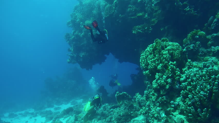 Group of scuba divers swim under a huge overhanging coral wall, Back view, Slow motion of divers swimming one after another under large coral overhang on blue water background