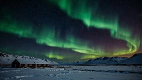A stunning night view featuring the spectacular Aurora Borealis (Northern Lights) dancing across the starry night sky above the snow-covered Icelandic landscape. - Powered by Shutterstock - Get 15% off with code: PIKWIZARD15