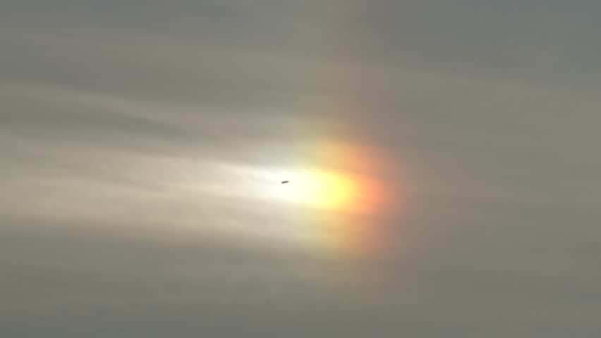 Single bird flying across a spectrum of colors in the sky giving a sense of peace, hope, and comfort to the broken hearted.