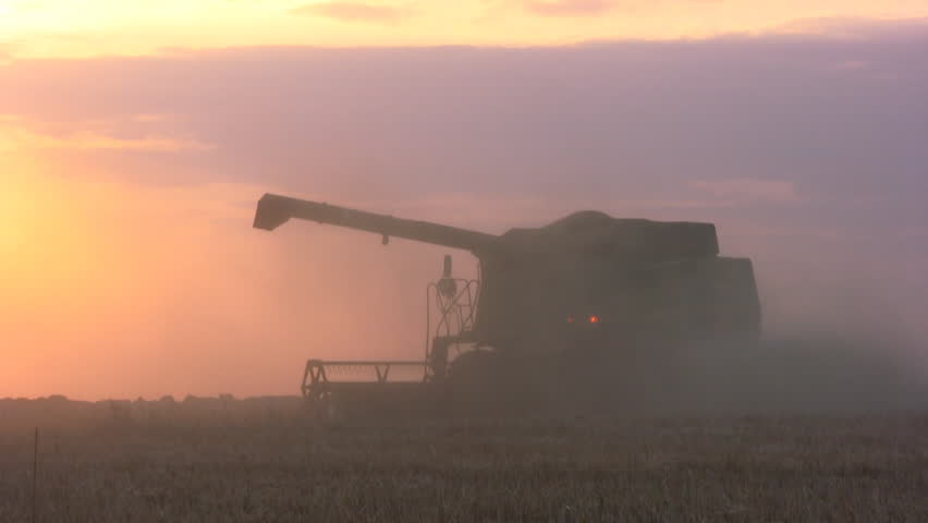 Combine harvest against the backdrop of sunset. Silhouette