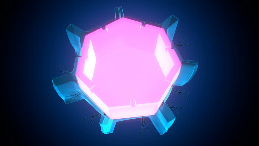 Cell membrane plant cell anatomy. 3d render