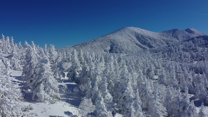 Broadcast-ready aerial footage of Hakkoda Mountain's vast rime ice (snow monsters) in Aomori, Japan. The stunning, snow-covered forest is captured in smooth 4K 30fps under a clear blue sky.
