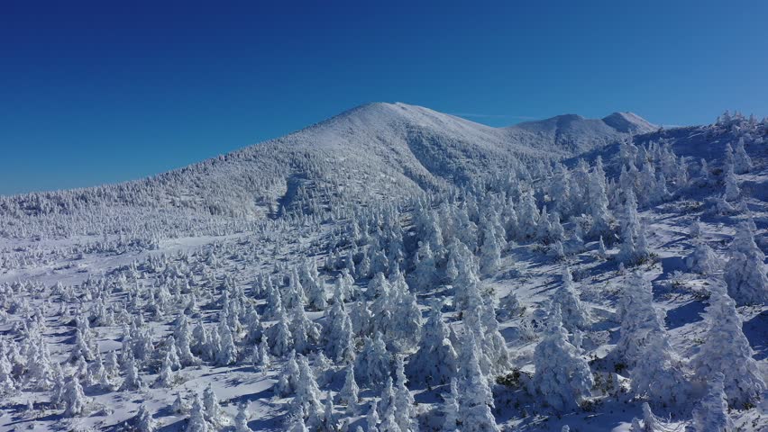 Broadcast-ready aerial footage of Hakkoda Mountain's vast rime ice (snow monsters) in Aomori, Japan. The stunning, snow-covered forest is captured in smooth 4K 30fps under a clear blue sky.