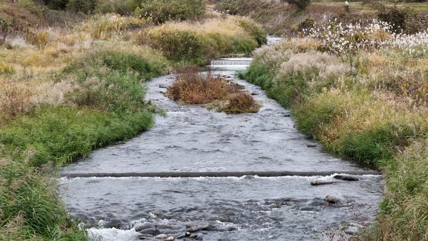 A river with a bridge over it and a small island in the middle. The water is calm and the grass is green