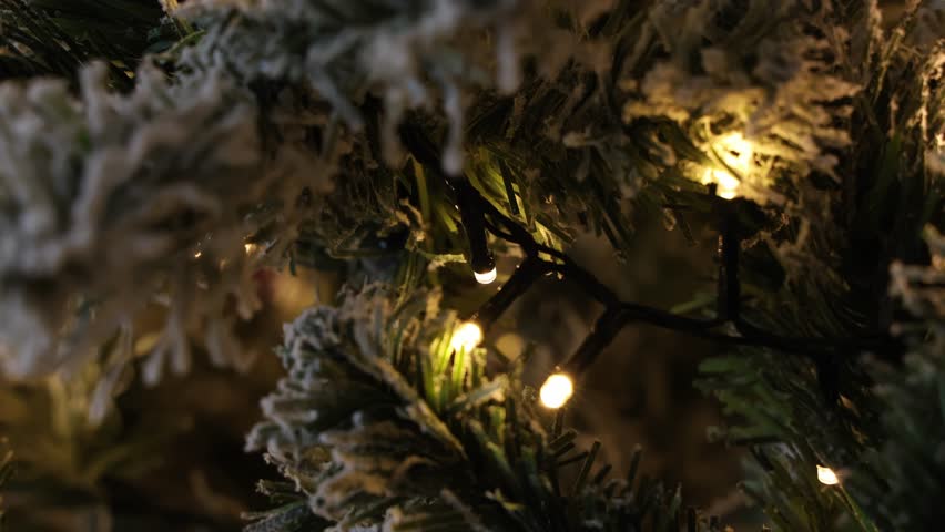 Twinkling fairy lights on a Christmas tree, close up