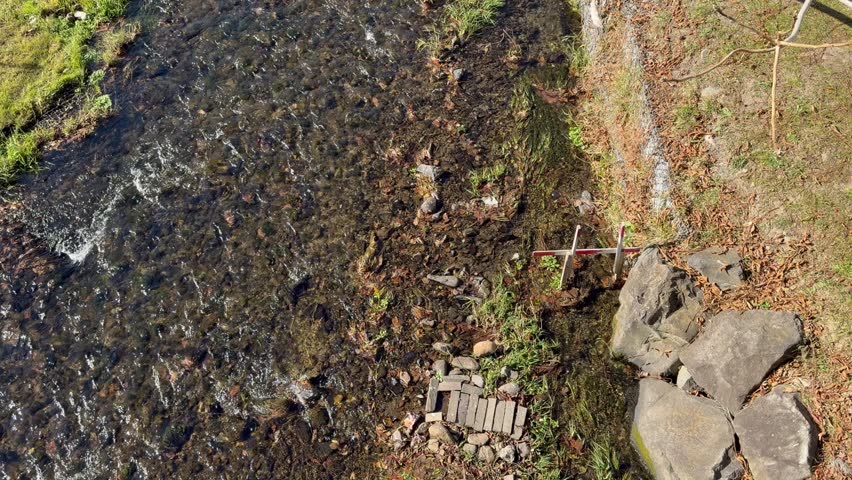 The water is transparent and rippled, contrasting with the riverbank which features dry grass, soil, fallen leaves, and large embankment stones 
