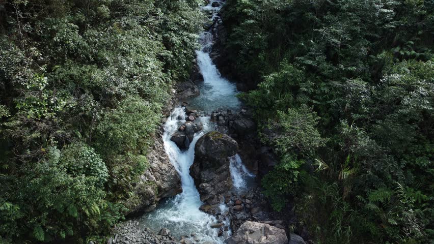 Crystal clear water flows through a rocky mountain stream, surrounded by lush green trees along its banks. This scene captures the natural beauty of the Papuan jungle, Indonesia.