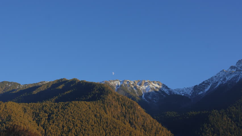 A dense panoramic forest against the backdrop of mountains with the moon.