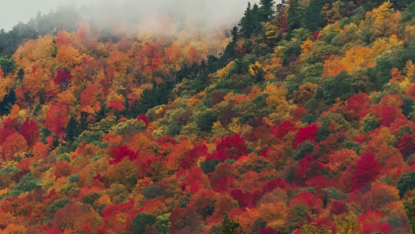 Adirondack Mountain, New York State. Aerial view of a forested hillside covered in autumnal foliage during what appears to be the fall season. The trees are a mix of red, orange, yellow, and green.