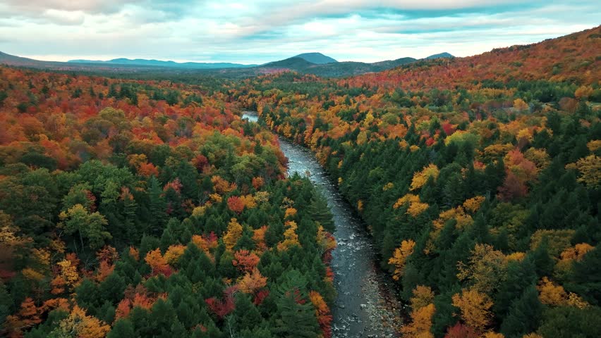 Adirondack Mountain, New York State. Aerial view of a forested landscape during autumn, with a river running through it. The forest is a mix of evergreens and deciduous trees.