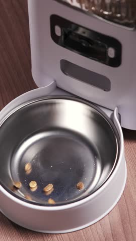 Dry kibble drops into the metal bowl of an automatic pet feeder, showing the dispensing process and precise portion delivery for convenient pet feeding
