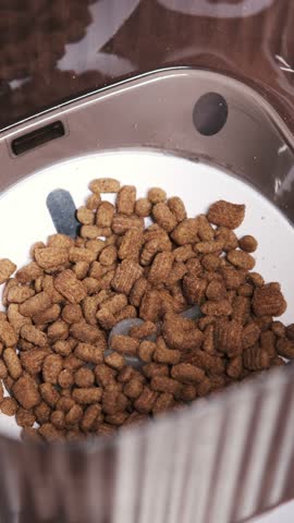 Close-up of dry pet food inside the hopper of an automatic feeder, showing filled granules and the auger mechanism for controlled dispensing
