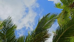 Fresh pastries and desserts at bakery display. Chocolate eclairs, cream tarts with macarons, and powdered sugar pastries arranged in boxes. Overhead view of sweet delicacies for sale. - Powered by Shutterstock - Get 15% off with code: PIKWIZARD15