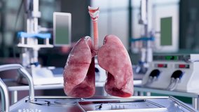 Human Lungs with trachea, Human Respiratory System, anatomy of the lungs, 3d model rotating animation,  Loopable 3d render - Powered by Shutterstock - Get 15% off with code: PIKWIZARD15