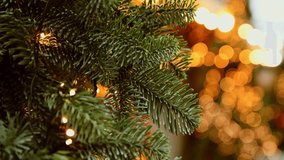 Evergreen branch decorated with tiny warm white Christmas lights, highlighting lush green needles. Soft golden bokeh from out-of-focus lights creates cozy holiday atmosphere - Powered by Shutterstock - Get 15% off with code: PIKWIZARD15