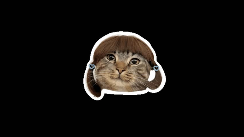 Sticker Animation Motion Graphic Template Clip on Black Background, High Resolution Ultra High Definition 4K Video Overlay for Promo and Design