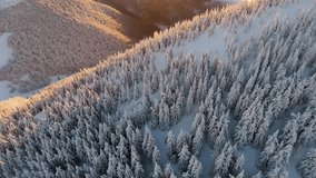 Slow rising aerial over snowy winter mountains and sea of clouds filling valley at sunrise with frosted forest - Powered by Shutterstock - Get 15% off with code: PIKWIZARD15