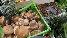 Various types of mushrooms in plastic crates at a market — chanterelles, button mushrooms. - Powered by Shutterstock - Get 15% off with code: PIKWIZARD15
