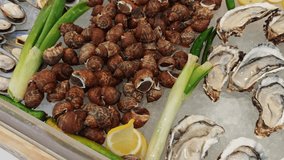 A fresh seafood platter featuring oysters and conch, garnished with green onions and lemon slices, perfect for culinary delights. - Powered by Shutterstock - Get 15% off with code: PIKWIZARD15