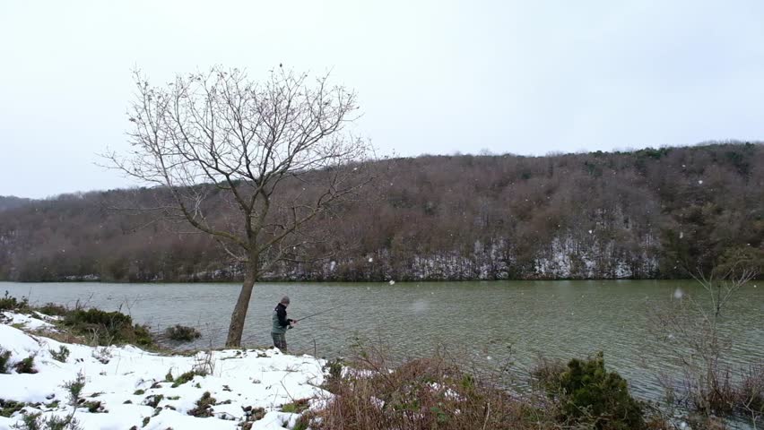 Man Fishing Beside a Lone Tree on a Snowy Winter Lakeside