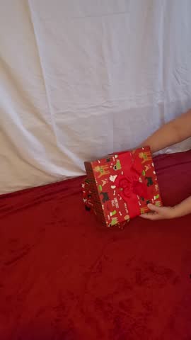 Christmas puppy coming out of a gift box