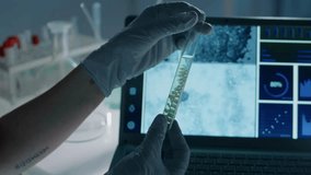 Close-up of hands of an anonymous female biologist in gloves studying a test tube with sample, highlighting lab work, research, and scientific analysis. - Powered by Shutterstock - Get 15% off with code: PIKWIZARD15