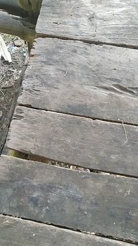 resting in a hut surrounded by corn plants on the hills