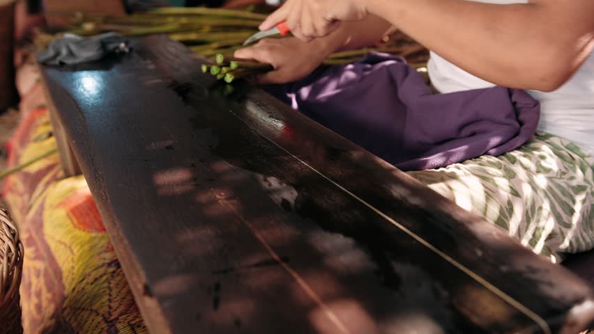 Woman extracting silk threads from lotus plant stems. Traditional khmer craftsmanship in action, Cambodia, Siem Reap