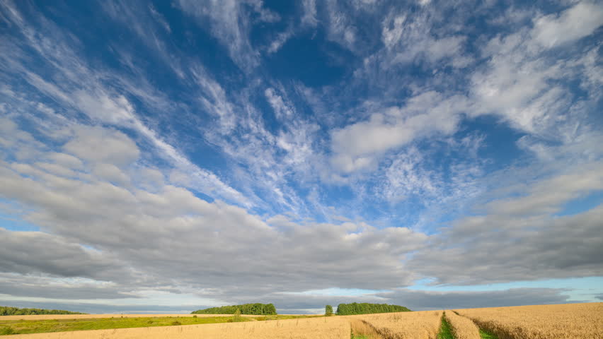 Expansive sky scene, Golden crops beneath sprawling clouds, Majestic horizon over swaying wheat fields, Serene landscape with rolling golden crops and expansive sky