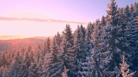 A stunning winter landscape at sunrise, with snow-covered evergreen trees and glistening frosty branches under golden light, creating a serene and magical atmosphere. Perfect for winter enthusiasts. - Powered by Shutterstock - Get 15% off with code: PIKWIZARD15