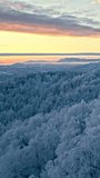 Breathtaking winter landscape at dawn, snow-covered trees and rolling hills under a pastel sky. Captured from a bird's-eye view, serene, frosty scenery ideal for winter enthusiasts. - Powered by Shutterstock - Get 15% off with code: PIKWIZARD15