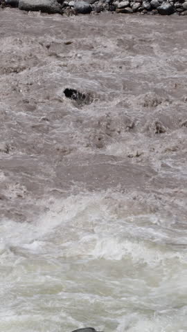 Close Up Of A Fast-Flowing Muddy River Current Interacting With Turbulent Whitewater Rapids. Powerful Natural Force. Detail Of Water Texture And Motion. Vertical