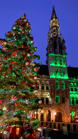 A illuminated Christmas Tree in front of the City Hall at the Grand Place in Brussels, Belgium, for the festive season