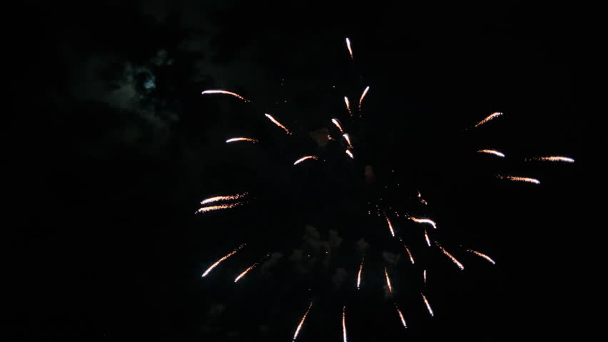 Fireworks Lights In The Sky For New Year Celebration 