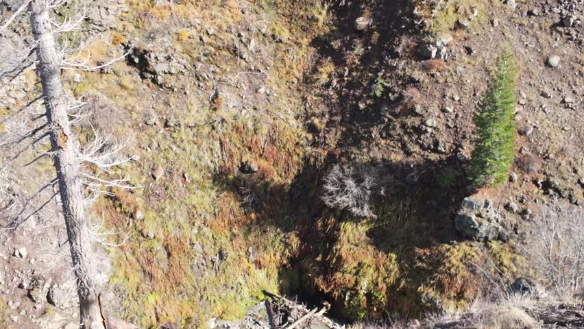 This scenic view captures Mill Creek Falls, the tallest waterfall in the park, cascading 75 feet down a narrow chute, visible from the end of a moderately strenuous trail