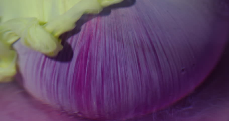 Pigment fluid drip. Defocused swirl. Yellow liquid paint pouring on purple sphere. Art color trickles blend dye abstract background.