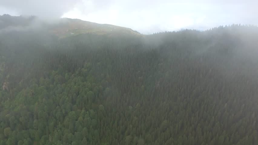 Aerial view of village houses on a ridge amid pine forests rising through drifting clouds in Rize. Moist fog and sis sweep over the Blacksea plateau revealing forest scenery near Camlihemsin.