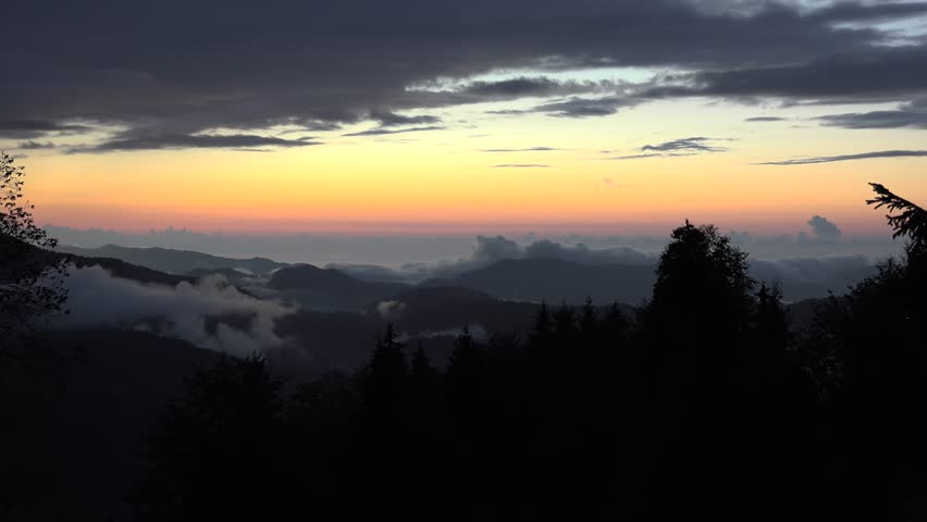 Time lapse view of red sky at dusk before sunrise in the forest at night. Soft twilight colors glow above dark woodland as shifting light reveals the approaching dawn.