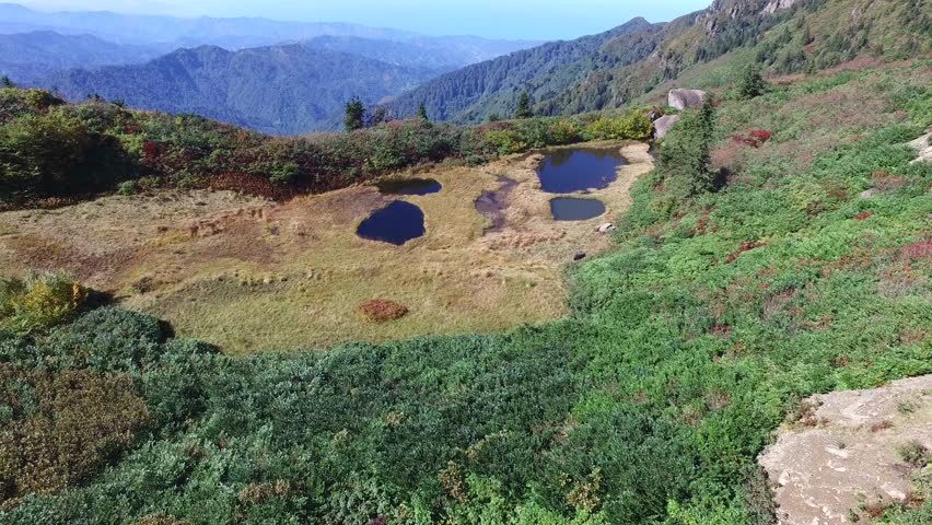 Aerial view of reeds and marsh lake waters on the ridge of a hill covered with bushes among forests. Wetland pools shape a serene highland scene as calm reflective water contrasts with lush woodland t