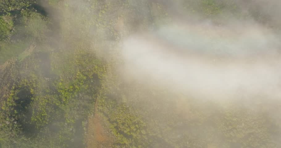 Eglinton Valley fog rolling over lush green hills, calm and serene