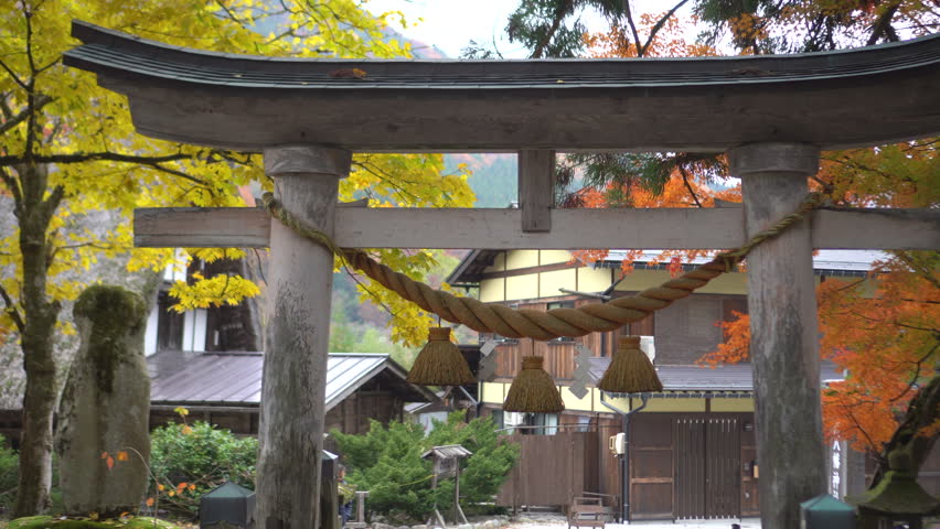 japanese shrine gate otori with red autum leaves