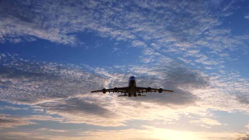 plane took off and flew through the sky