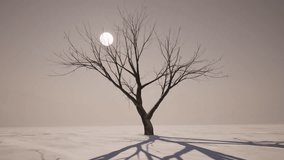 Winter snow one tree sunrise fog 4k. 3D Illustration - Powered by Shutterstock - Get 15% off with code: PIKWIZARD15