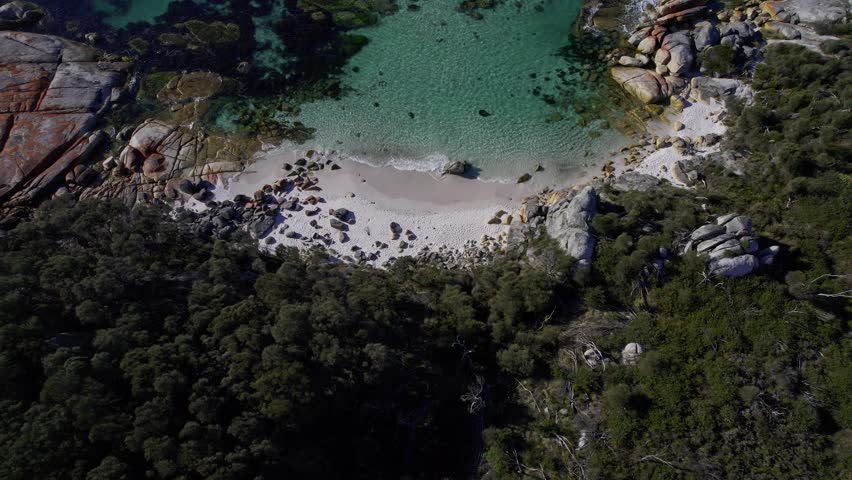 Cosy Corner North With Turquoise Ocean In Tasmania, Australia - Aerial Shot