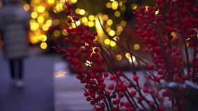 Branches of holly berries with blurred lights golden garland on evening city with walking people in winter. Christmas decoration at dusk. New Year - Powered by Shutterstock - Get 15% off with code: PIKWIZARD15