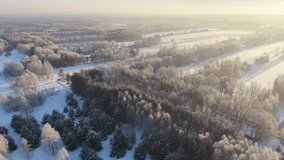 Frost covered forest at peaceful sunrise - Powered by Shutterstock - Get 15% off with code: PIKWIZARD15