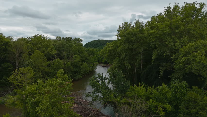 Aerial ascend reveals a forested river curving along rolling hills on a bright calm day, hidden behind trees