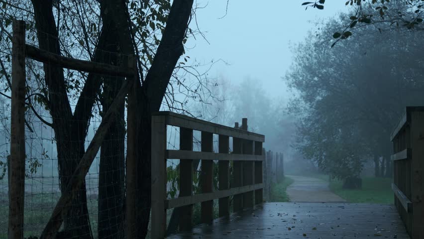 Static foggy view of a wooden bridge leading to a misty walking path.